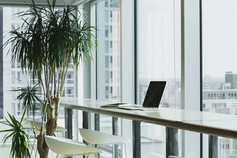 A bright, modern open-plan office